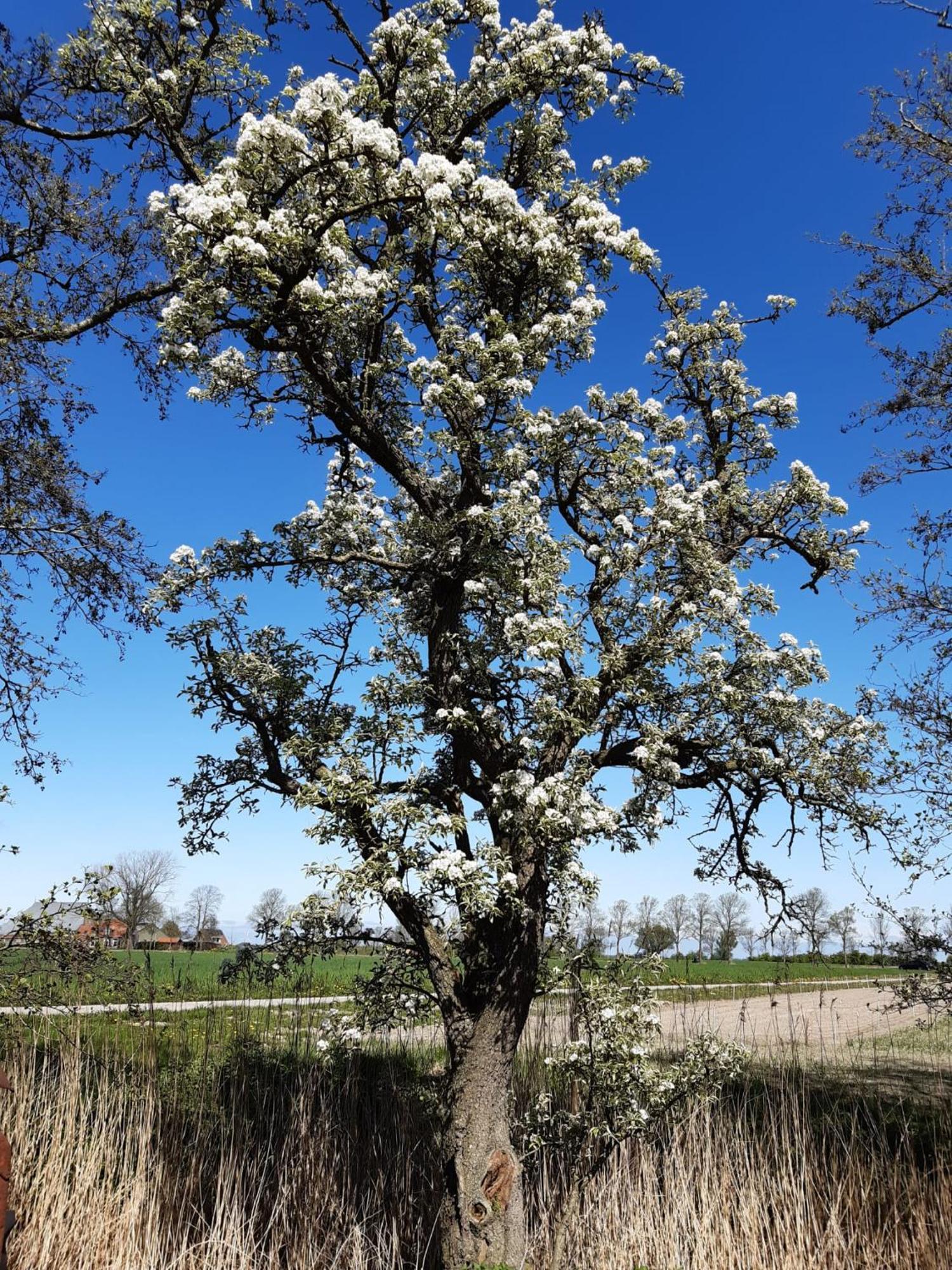 B&B Weidse Blik Ingelum Engelum Buitenkant foto